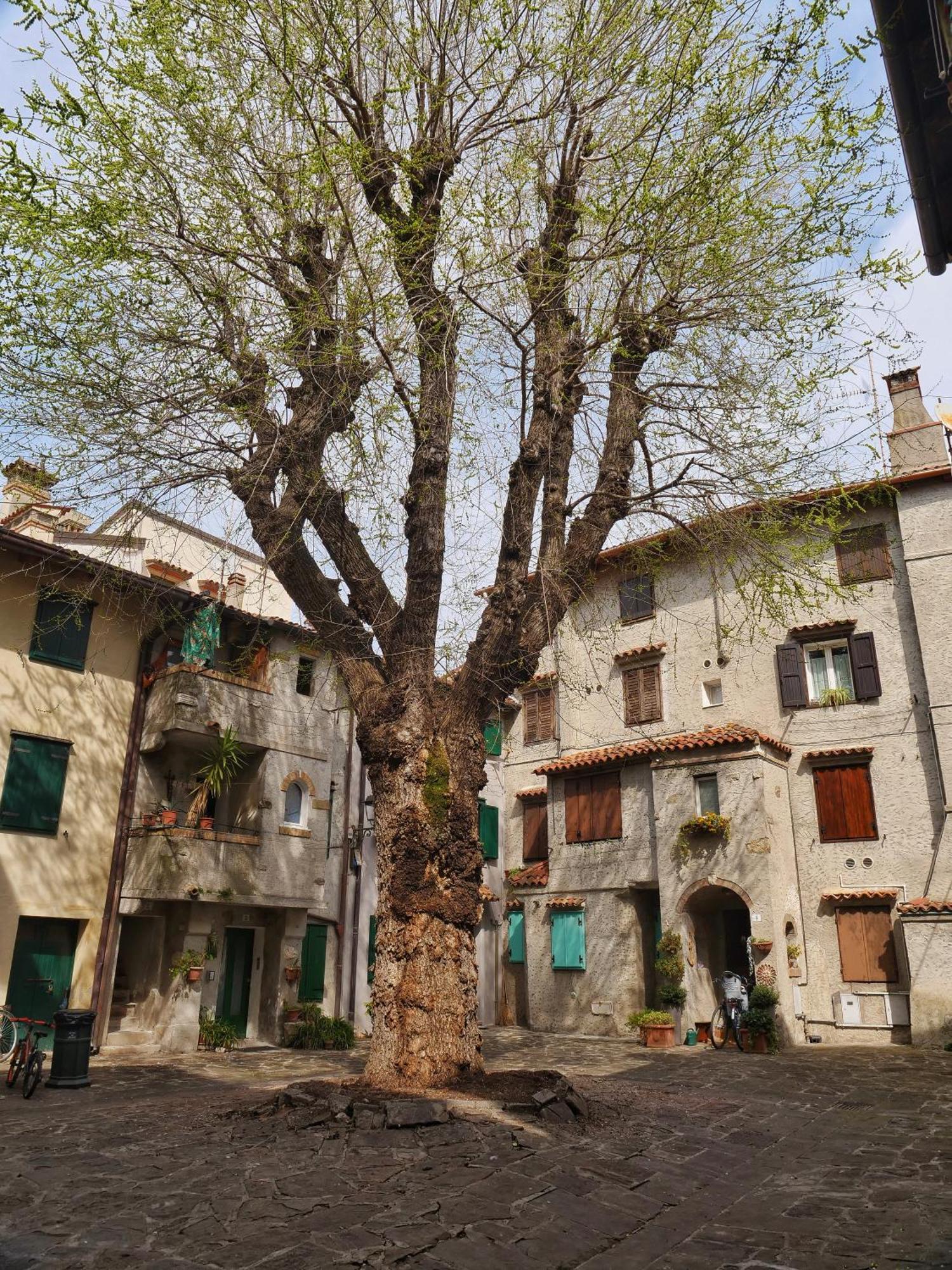 Casa Vianella - Romantico Monolocale Per Vivere Come Una Volta Grado Exterior foto